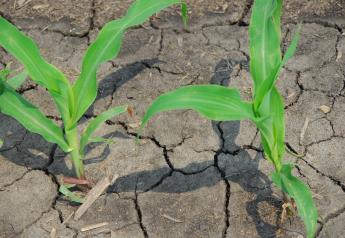 American Farm Bureau survey reveals increasing toll of western drought