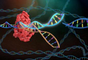 Gene Editing: Experts Say it’s Time to Remodel Regulatory Landscape