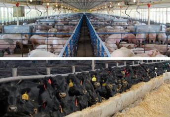 Beef, Pork Exports Begin 2021 Lower 
