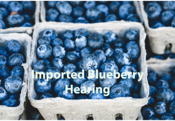 Florida ag commissioner: blueberry imports harm domestic growers