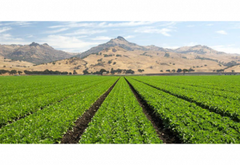 California LGMA votes to mandate risk-based pre-harvest testing