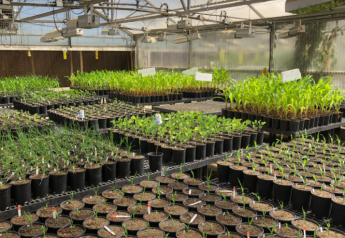 2 Well-Known Ag Companies Partner, Generate Nitrogen Fixing Microbial Products 