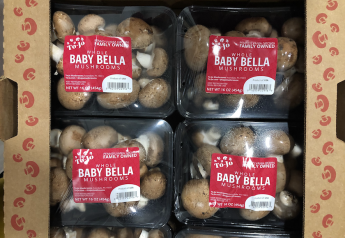 Baby bella, organics, larger packs lead mushroom trends