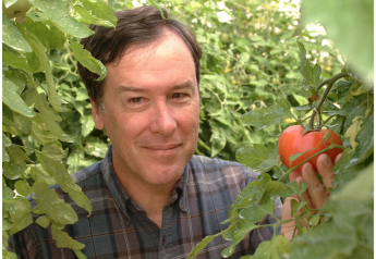 Harry Klee, horticultural sciences professor at the University of Florida's Institute of Food and Agricultural Sciences, seeks feedback from home gardeners on new tomato varieties.