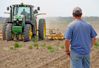 Without adequate H-2A agriculture employees at planting and beyond, some U.S. farmers face a crippling financial blow in 2021. 