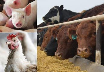Peel: Meat Production and Consumption Decreasing
