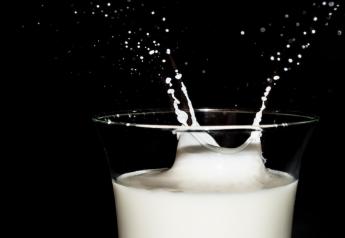 22 Reasons to Keep Dairy in Your Diet for 2022
