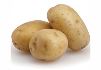 Potato stocks up 13% from June 2020