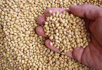 Soybean Prices Headed South?