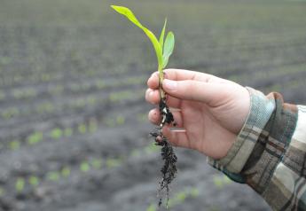 USDA's First 2021 Crop Progress Report Shows Planting Progress