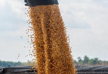 China Buys Most Corn Since January Despite Pledge to Change Feed Mix