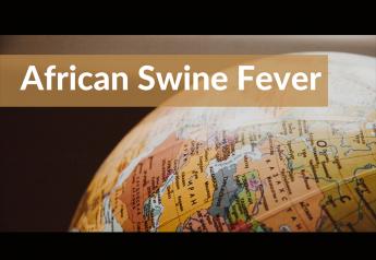 China Reports New African Swine Fever Outbreak in Inner Mongolia
