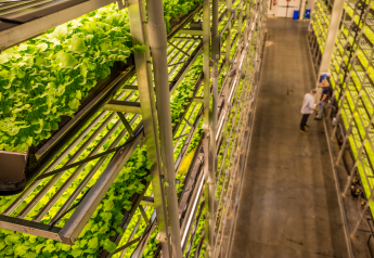 AeroFarms and Nokia partner for artificial intelligence plant vision