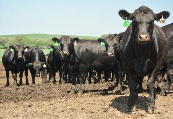 30 Day Cattle Outlook (4/30)