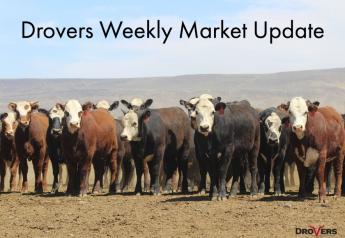 Drovers Weekly Cattle Markets Update