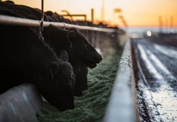 Farm Reform Act a “Direct Attack” on Cattle Production NCBA’s Lane Says