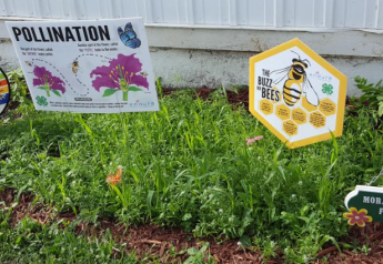 Growmark System Offers Pollinator Garden Program