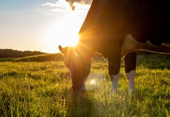 Organic Valley Sets Sights on Satellite Technology to Improve Pasture Grazing