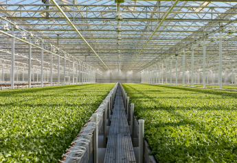 Little Leaf Farms won more funding to expand along the East Coast of the U.S.