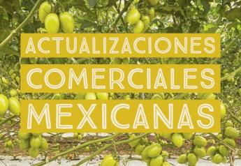 Mexican produce business updates