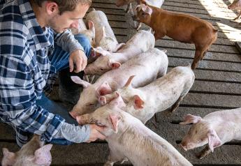 How Has the Pork Industry Benefited From $15-Million Producer Investment?