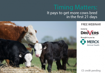 Timing Matters: It pays to get more cows bred in the first 21 days