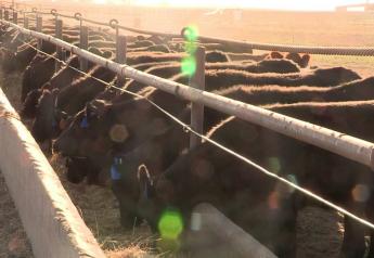 Cattle on Feed Report: Dec. 1 feedlot inventory down slightly from last year