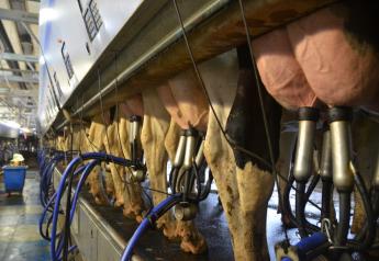 U.S. Milk Production and Cow Numbers Both Rise