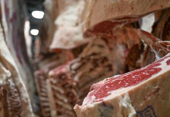   Program Addresses Beef Sustainability Efforts, Including Veterinarians’ Advisory Role