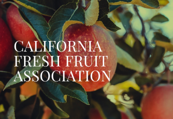 2021 California Fresh Fruit Association’s board of directors 