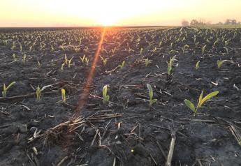 U.S. Soybean, Corn and Wheat Futures Bounce After February's Declines