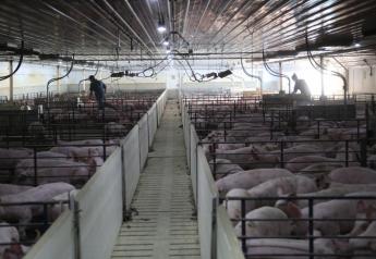 ISU Economist Says Line Speed Court Ruling Will Slash Pork Processing Capacity by 2.5%