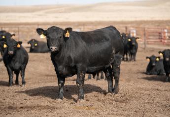Grassley Reintroduces '50-14' Bill, Cattlemen React