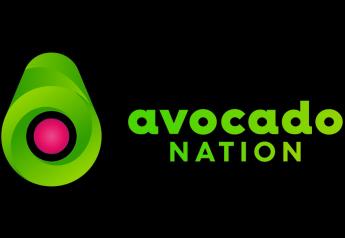 Avocados from Mexico — Avocado Nation 