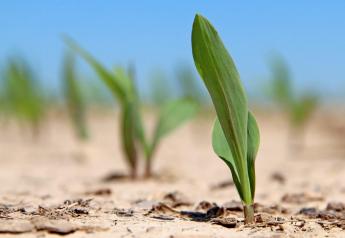 Biologicals and the Seven Wonders of the Corn Yield World