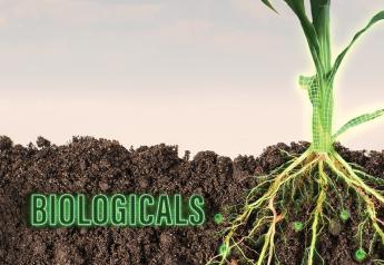 FMC Corporation and Micropep Technologies Collaborate To Develop Bio-Herbicides 