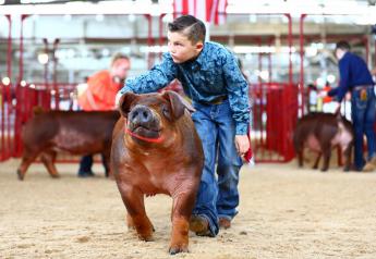 It Starts With You: Biosecurity Reminders for Youth Swine Shows