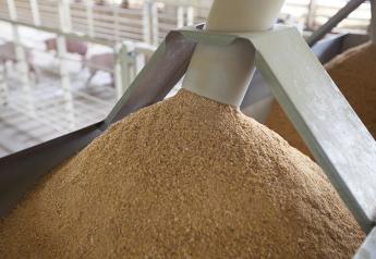 How Should the Animal Feed Industry Value Soy Protein?