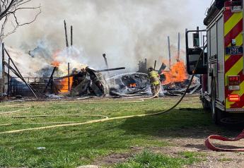 Fire Devastates Show Barn and State Fair Pig Prospects