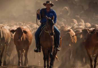 Australian Billionaire To Sell Cattle Stations
