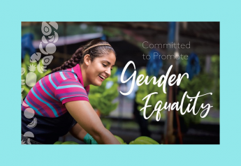 Fyffes to start gender equality programs at sites worldwide