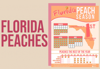 Some points about Florida’s peaches