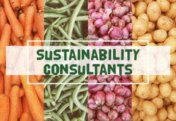 Sustainability consultants comments: Buyer role central to social responsibility