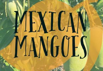 Mexican mangoes kick off strong, despite delays in Texas