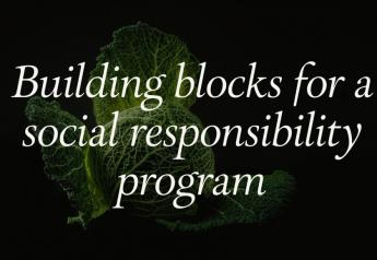 Building blocks for a social responsibility program