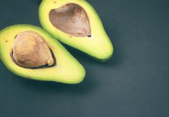 Avocado industry faces challenges amid success