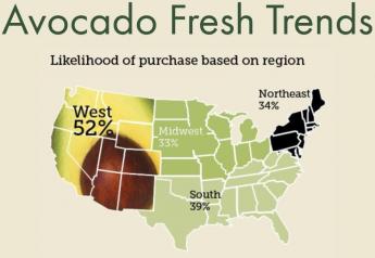 2021 Avocado Fresh Trends data
