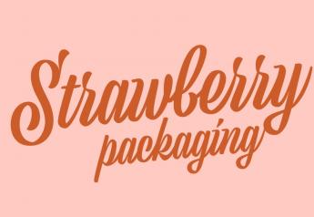 Clamshells still dominate strawberry packaging for retail, e-commerce