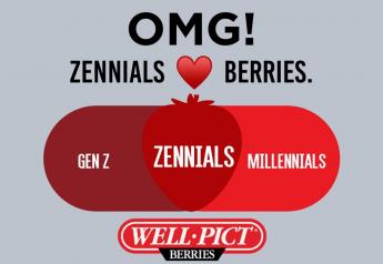 Sponsored by Well-Pict: OMG! ZENNIALS ❤️ BERRIES.