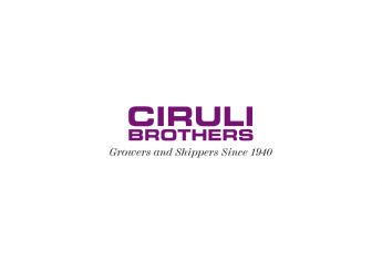 Ciruli Bros. sees strong momentum